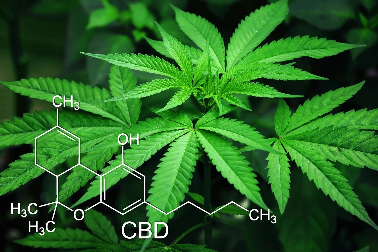 Hemp