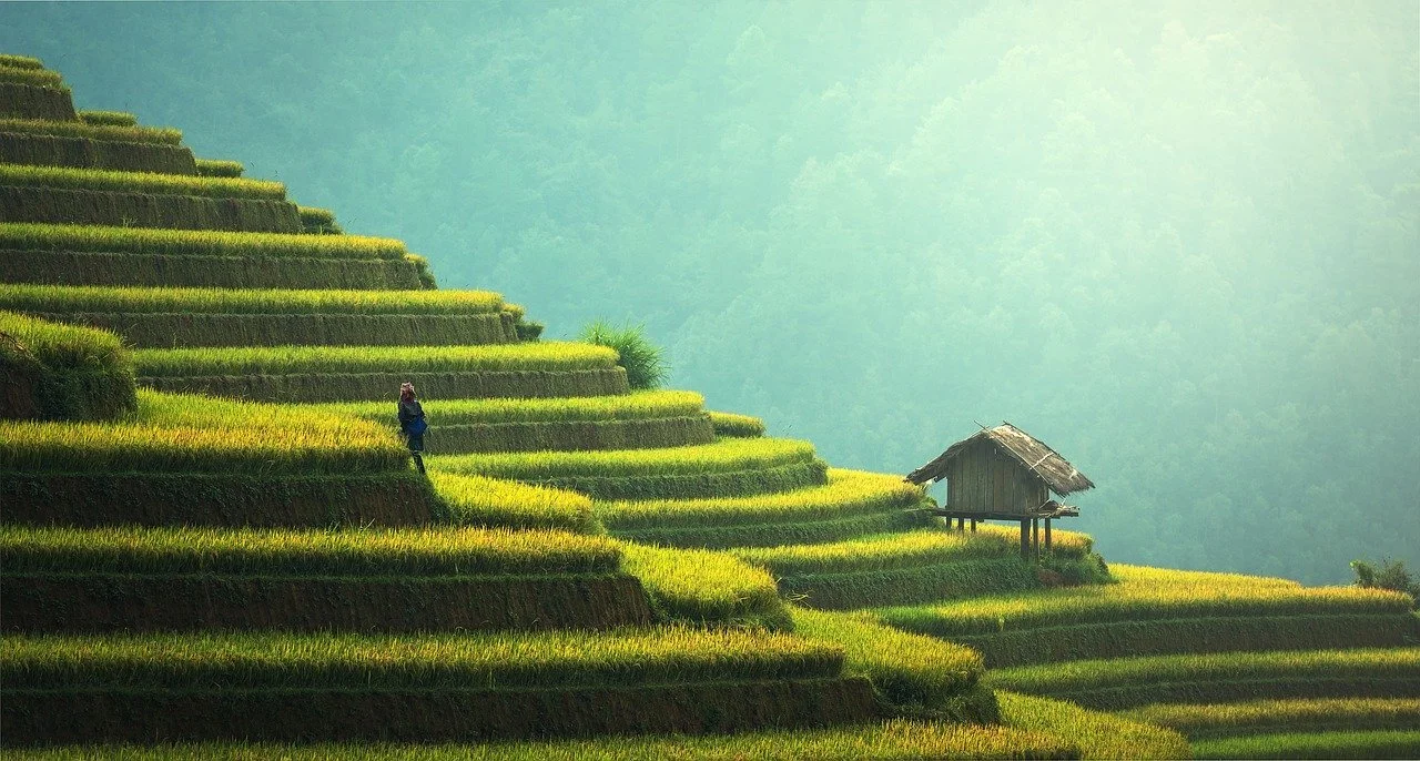 Green Revolution