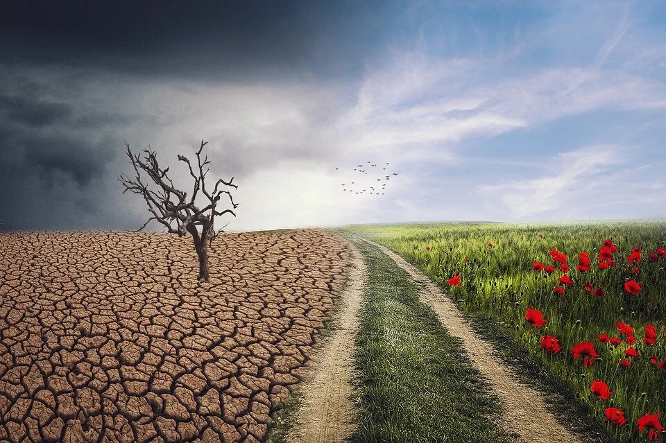Global Warming Potential (GWP)