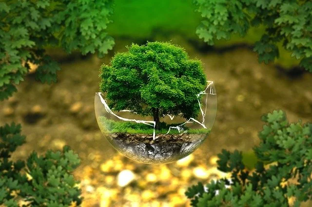 Environmental Protection Agency (EPA)