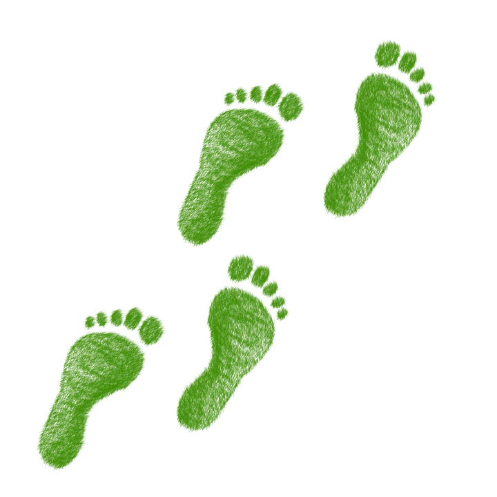 Ecological Footprint
