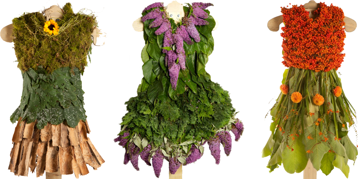 Eco-fashion