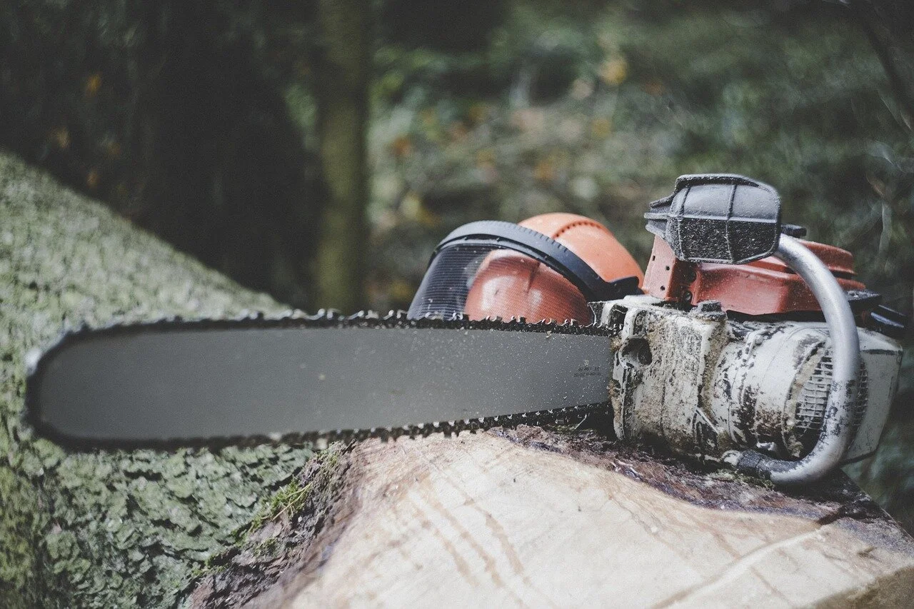 Disafforest