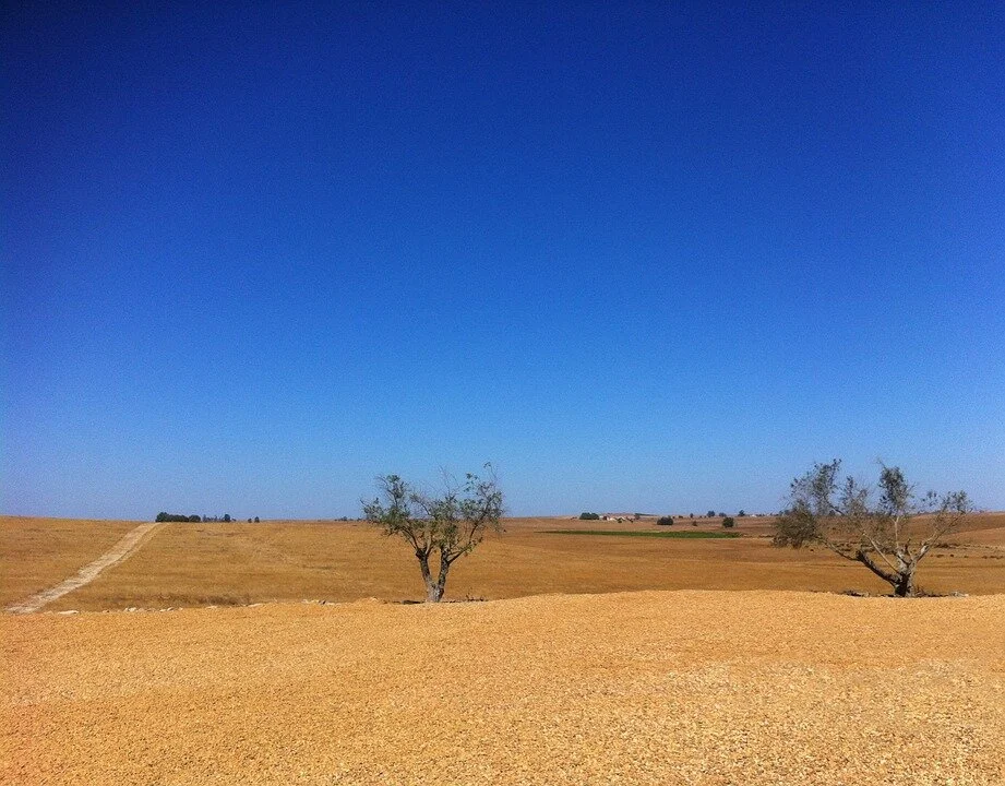 Desertification