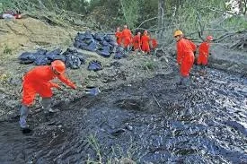 Bioremediation