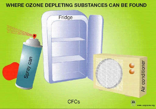 Fluorinated gas