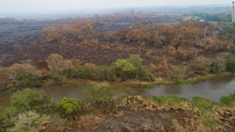 The world's largest wetlands are on fire. That's a disaster for all of us
