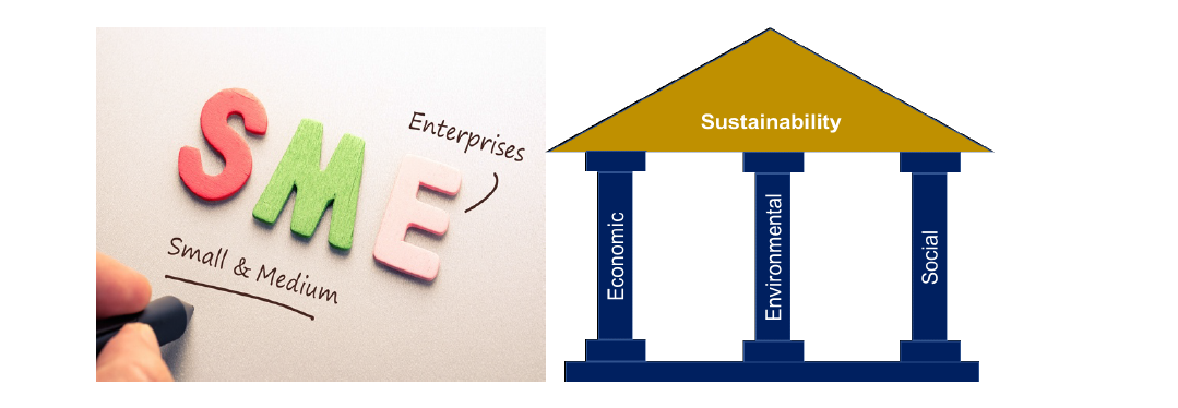 Small Medium Enterprises (SMEs) and the pillars of Sustainability