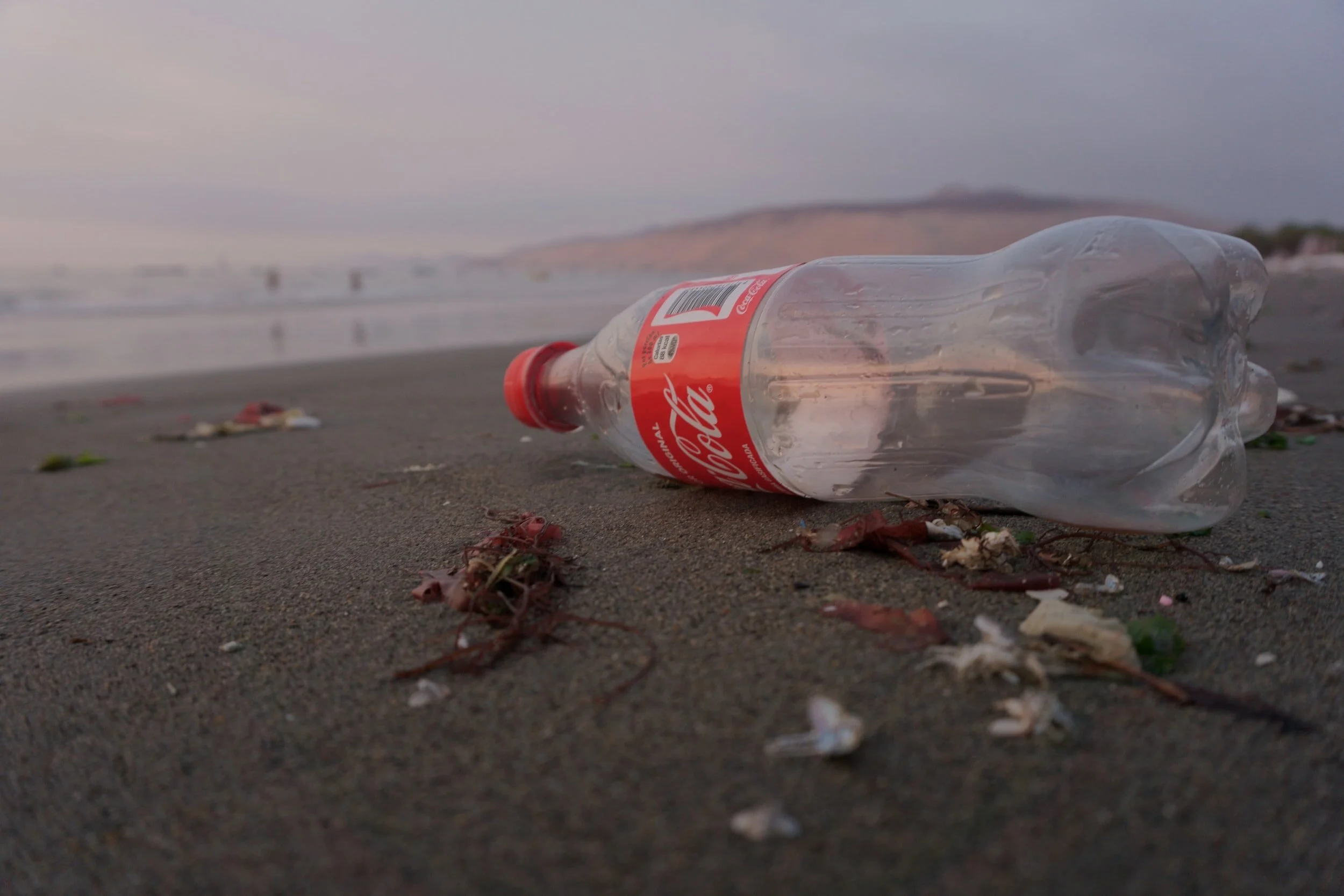 Coca-Cola, Pepsi and Nestlé named top plastic polluters for third year in a row