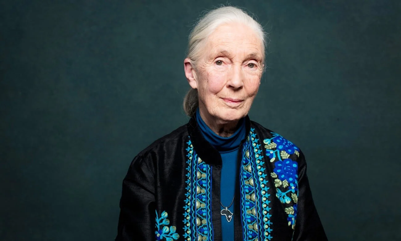 Jane Goodall: 'Change is happening. There are many ways to start moving in the right way'