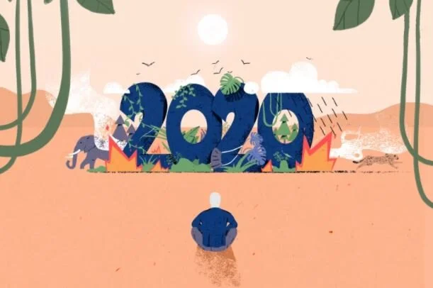 Lessons from 2020: Reconnecting with nature, a force for good