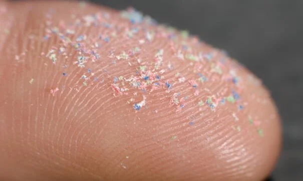 Plastic particles pass from mothers into foetuses, rat study shows