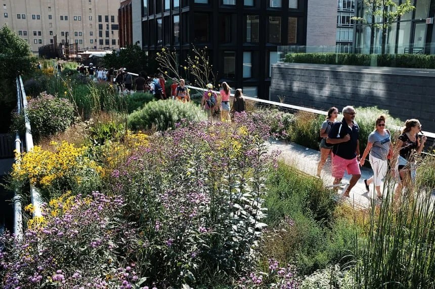 Rewilding our cities: beauty, biodiversity and the biophilic cities movement