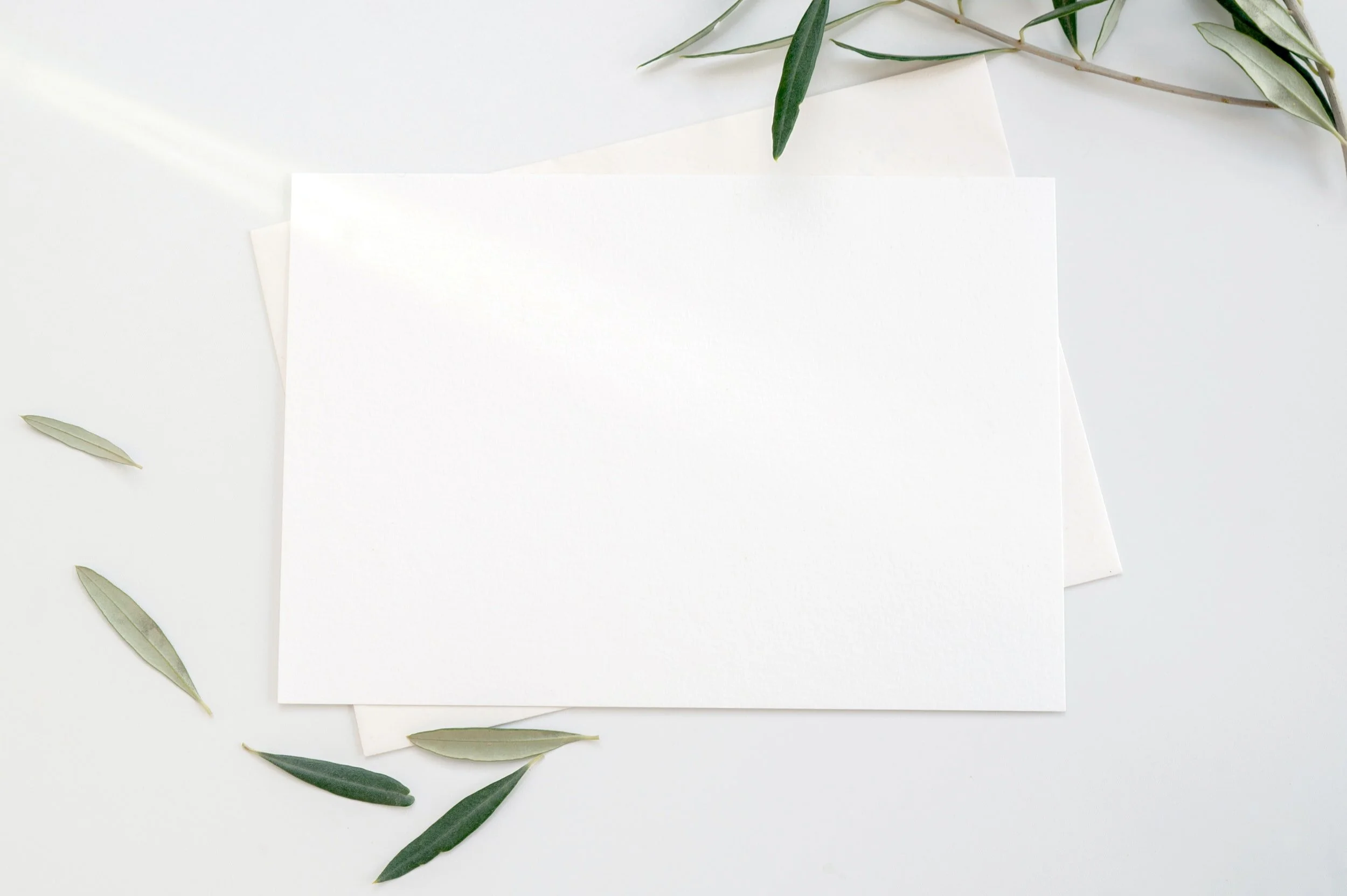 Whitest-ever paint could help cool heating Earth, study shows