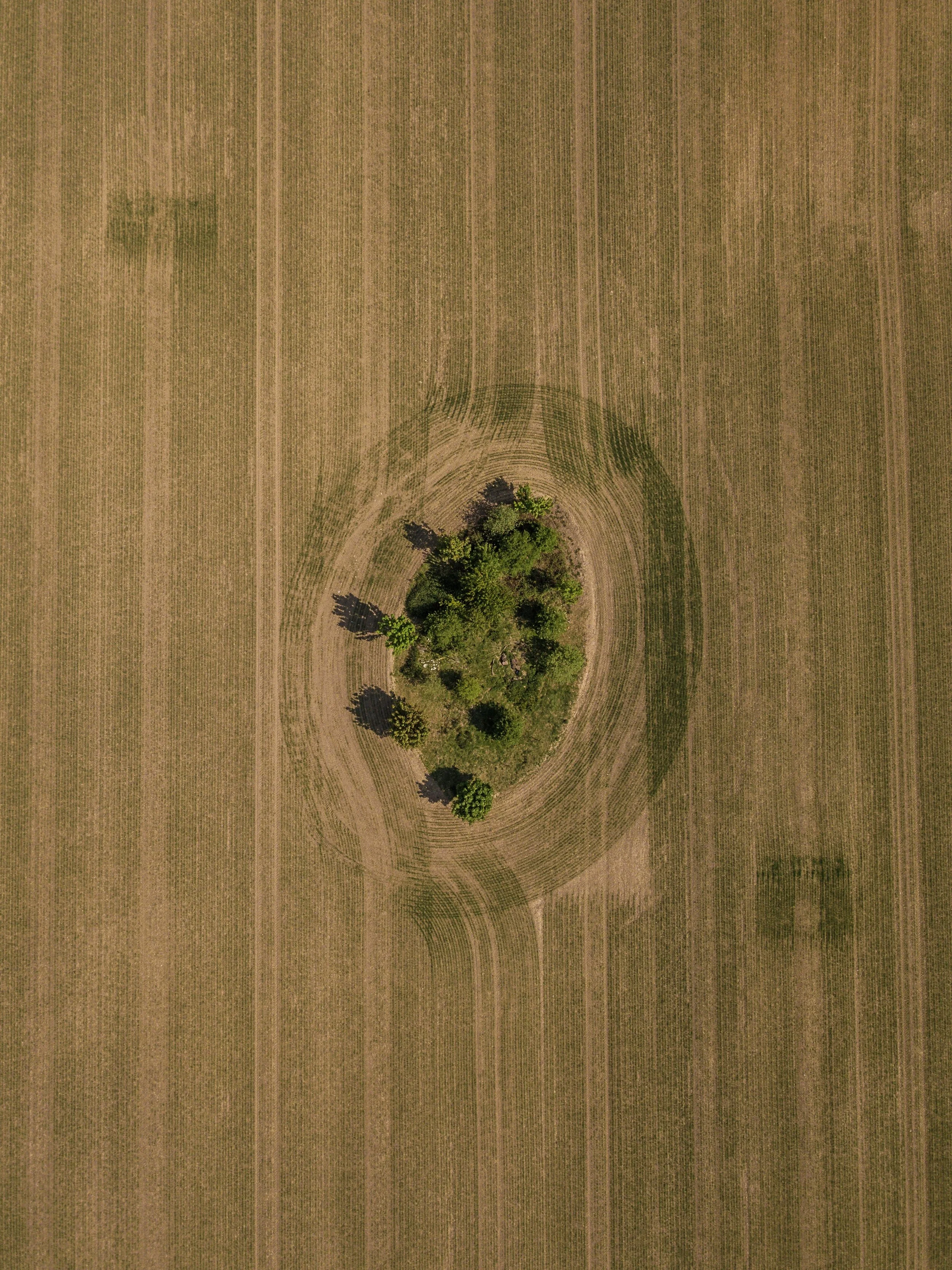 ryan-searle-vVNo0km4o-4-unsplash-2.jpg