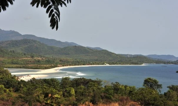 ‘Catastrophic’: Sierra Leone sells rainforest for Chinese harbour