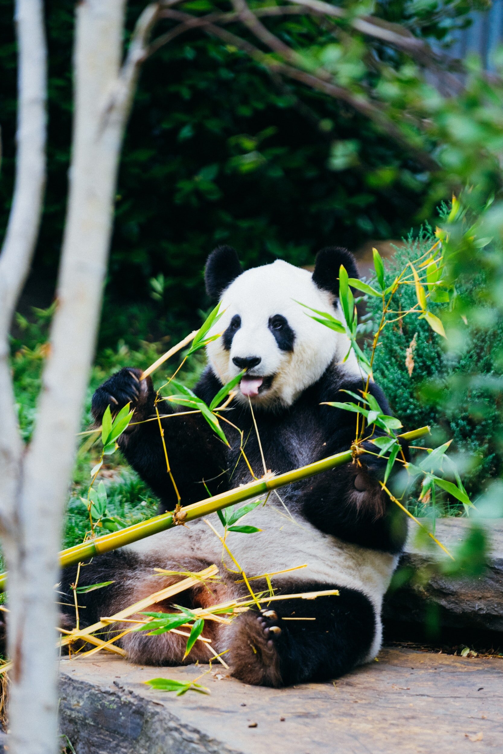 unsplash-image-s-fD5Tpew2k.jpg