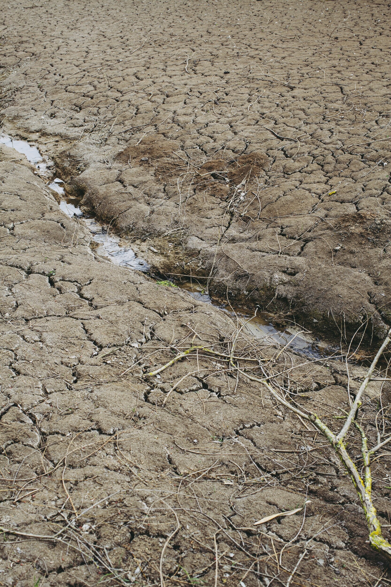 IPCC steps up warning on climate tipping points in leaked draft report