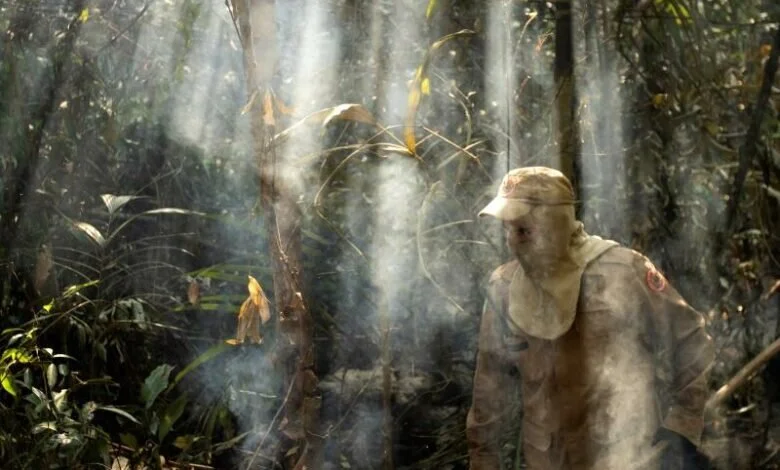 Experts warn of ‘alarming loss’ of biodiversity in Tropics