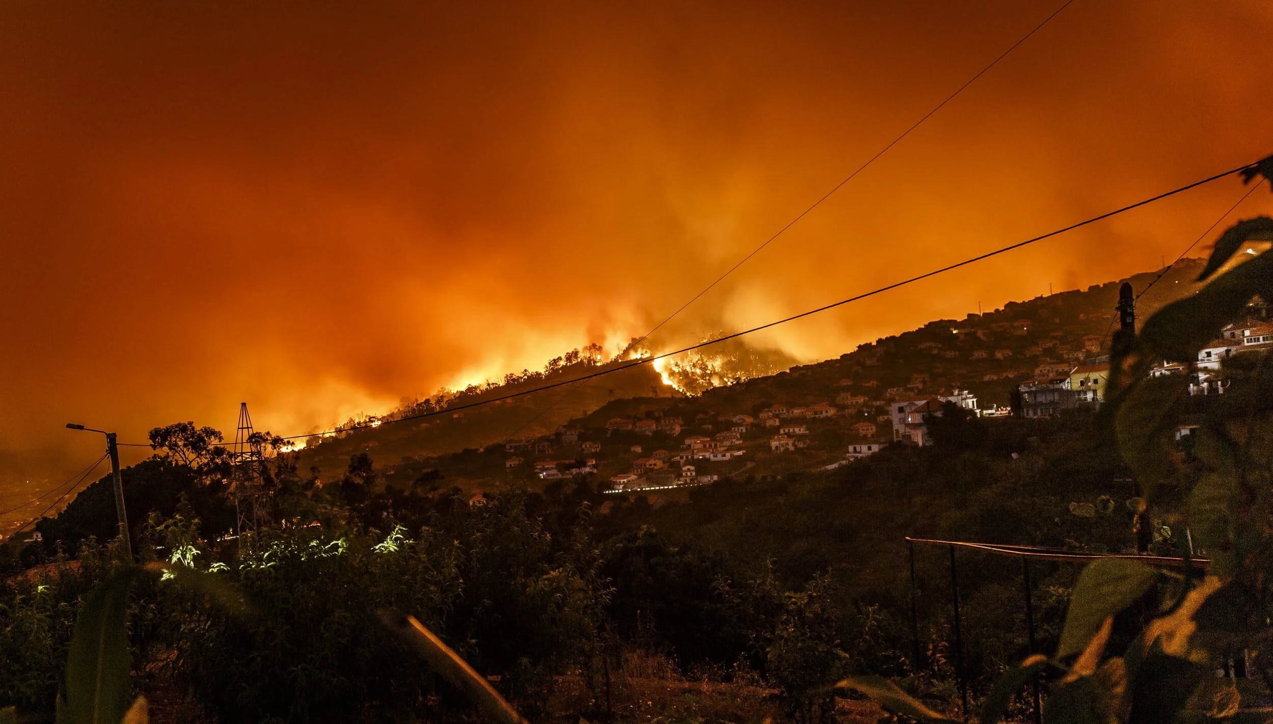 Wildfires ravaging forestlands in many parts of globe