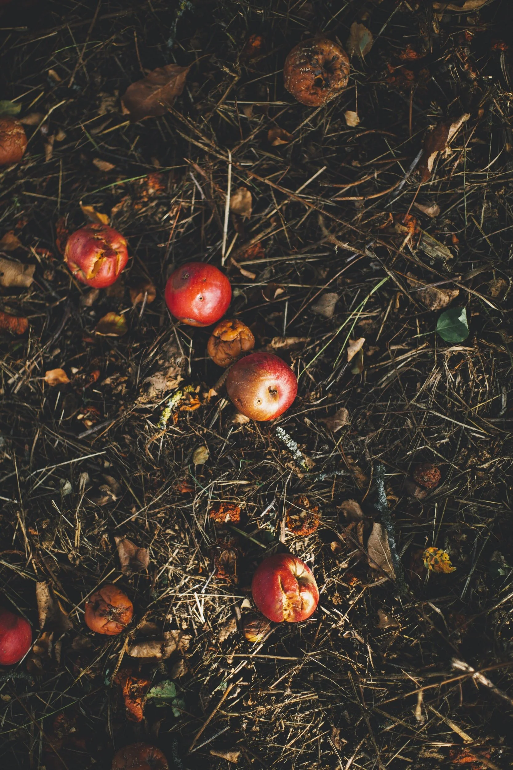 Composting