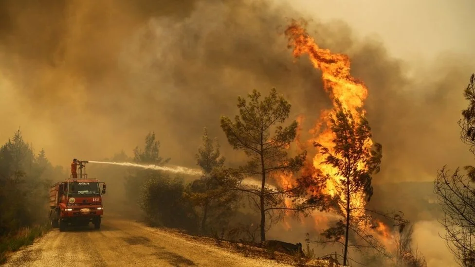 Climate change: July world's hottest month ever recorded - US agency