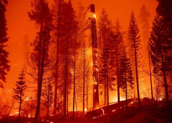 Rapid advance of Caldor fire forces more evacuations near Lake Tahoe