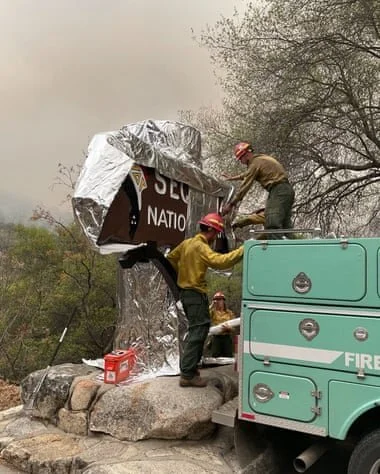 World’s largest tree wrapped in fire-resistant blanket as California blaze creeps closer