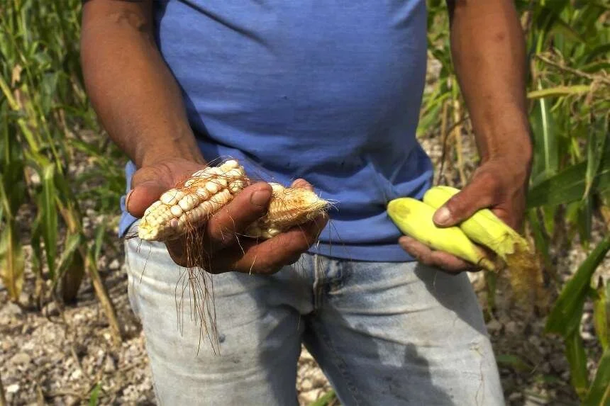 Hungry and desperate: Climate change fuels a migration crisis in Guatemala
