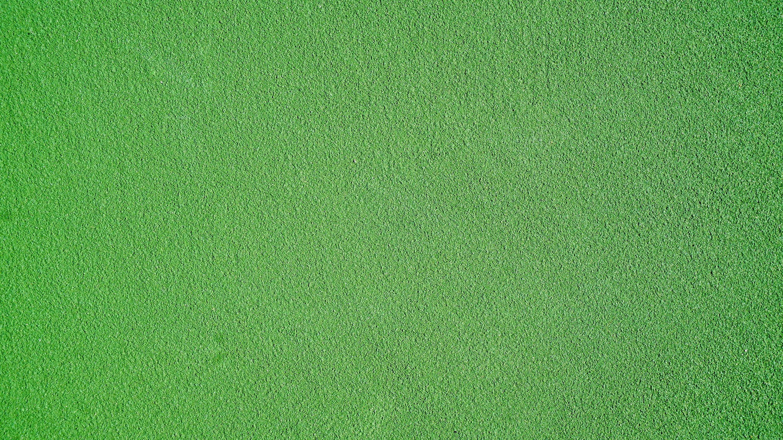 unsplash-image-eB1ziPSixlQ.jpg