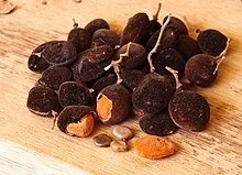 Dialium guineense