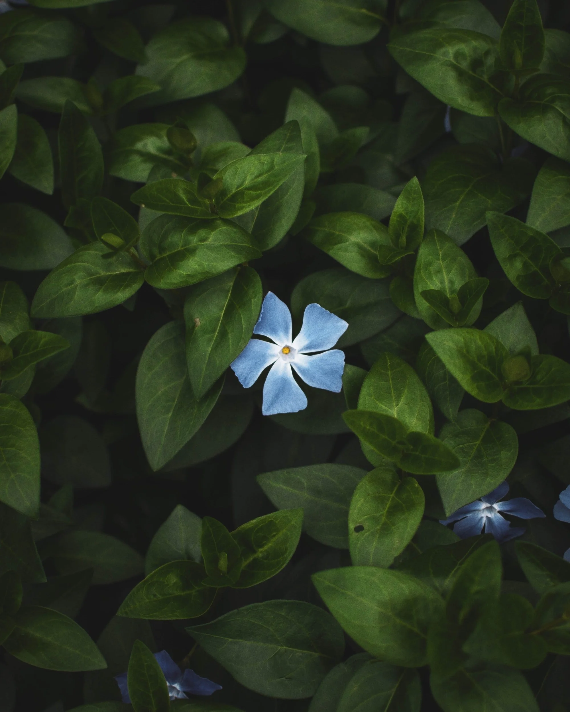 unsplash-image-E6GKpn20-6M.jpg