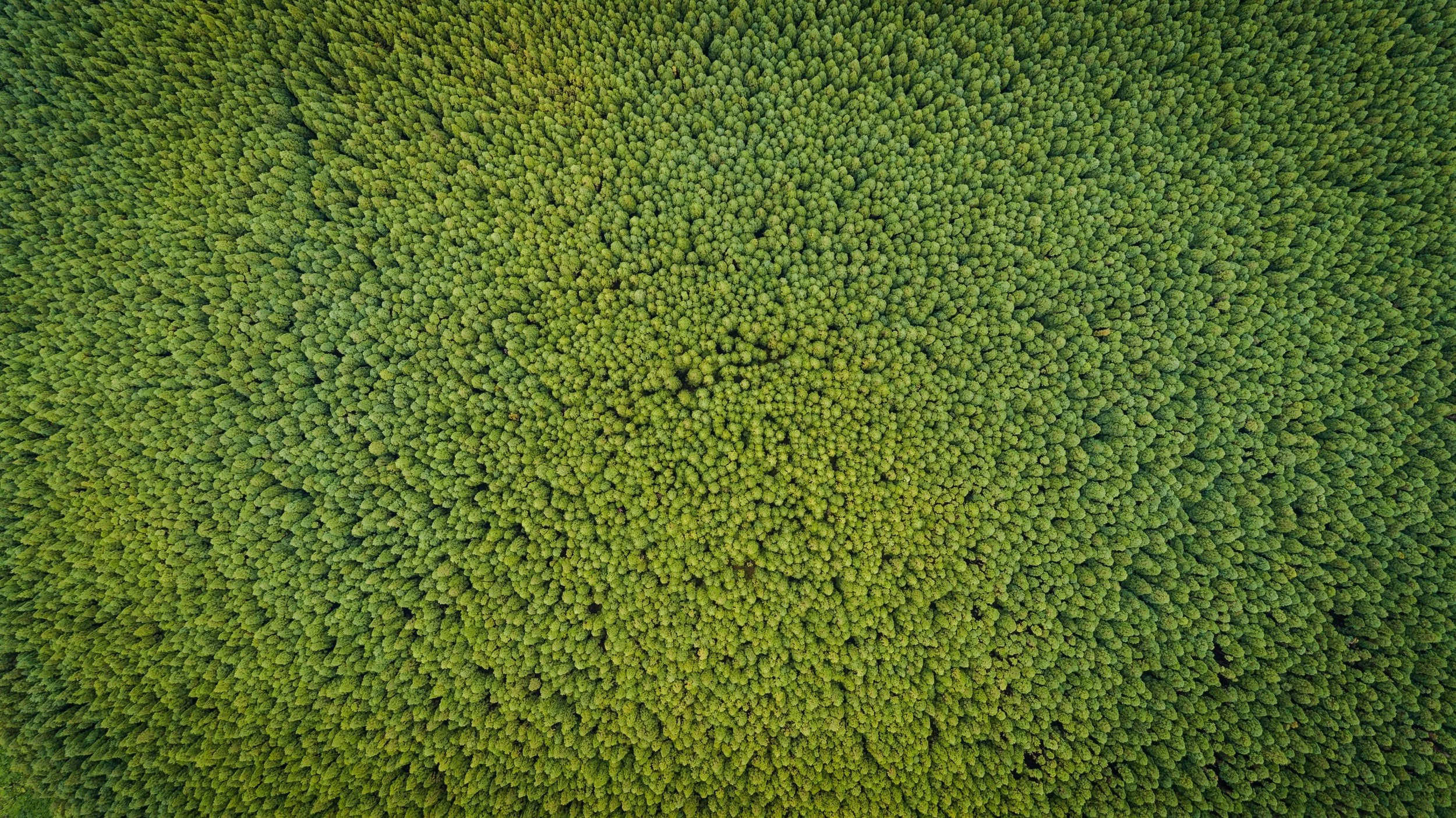 unsplash-image-Z83CMY9ho-I.jpg