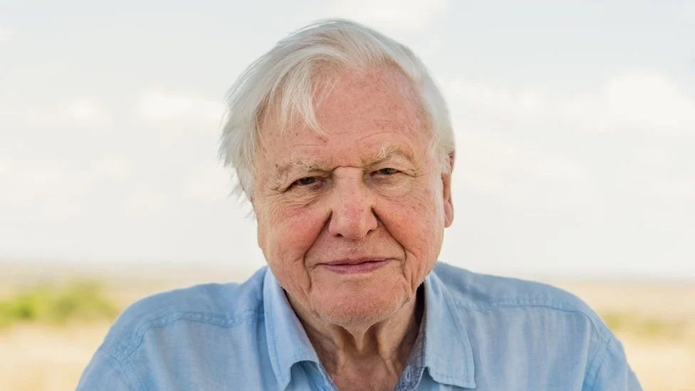 Sir David Attenborough named Champion of the Earth by UN