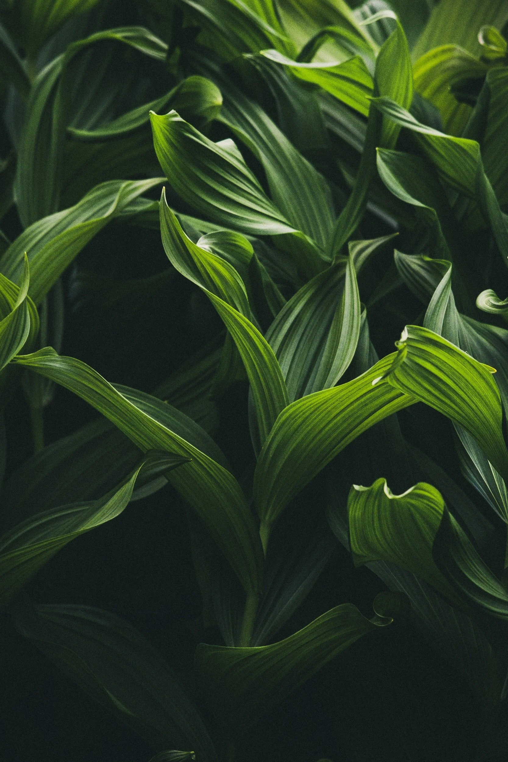 unsplash-image-Twkg4MCQLRk.jpg