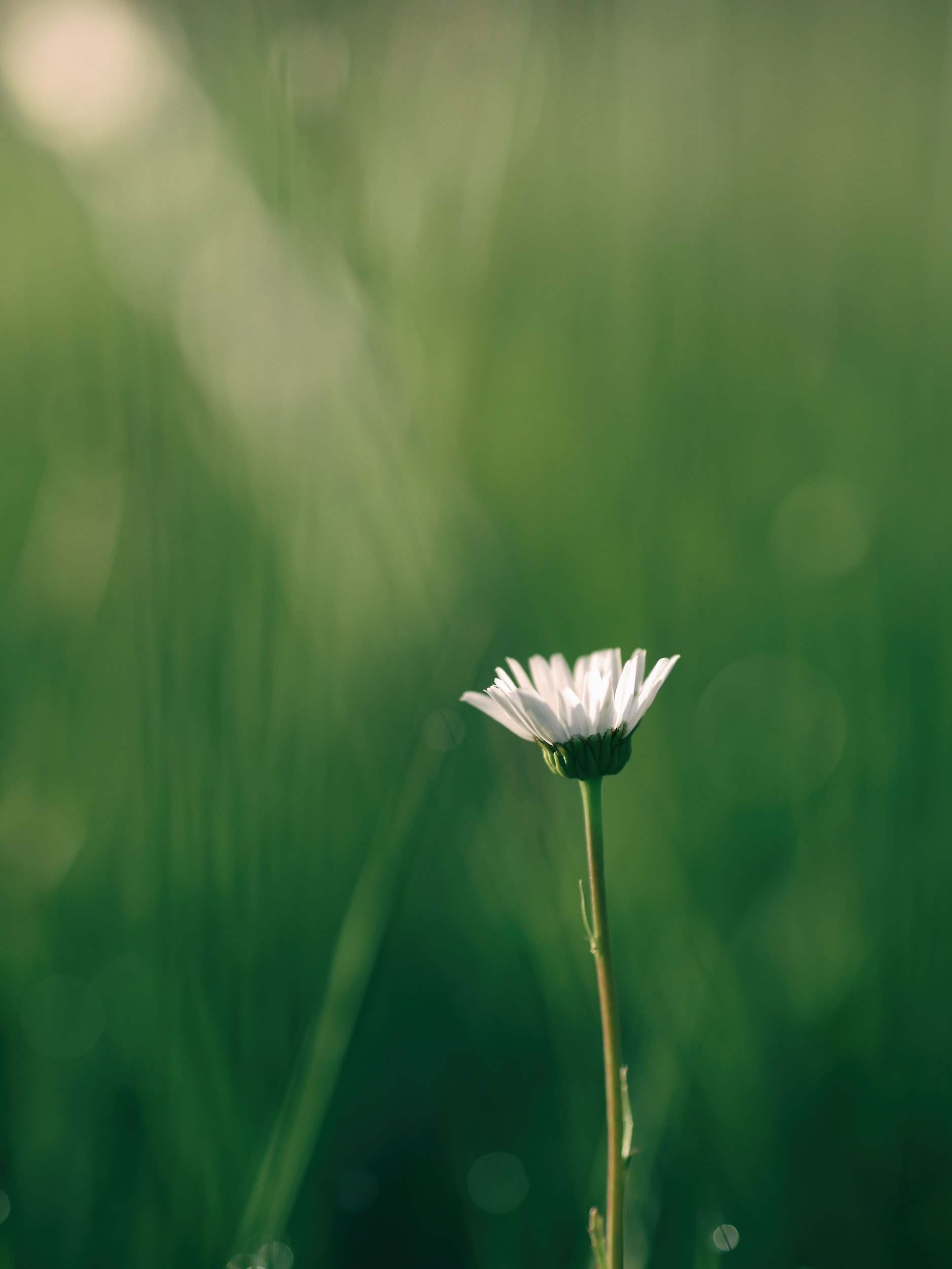 unsplash-image-t8MgrNitecE.jpg