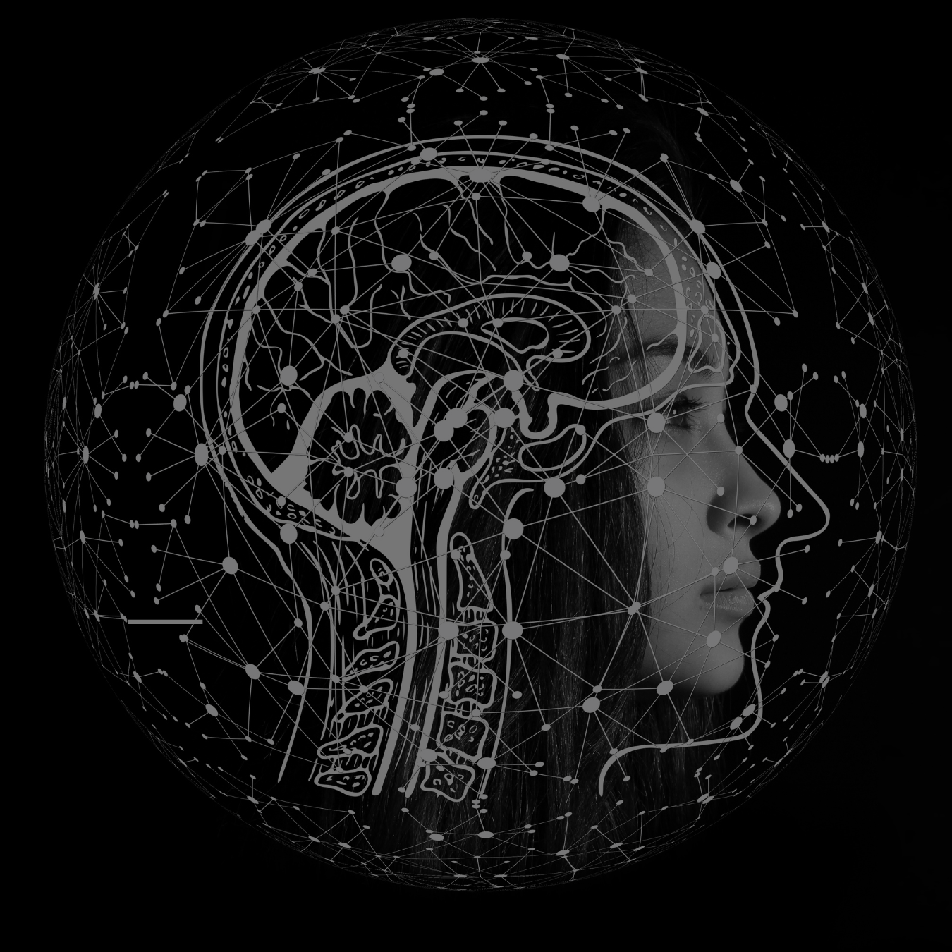 Study Shows Exposure to Air Pollution Alters Brain Function