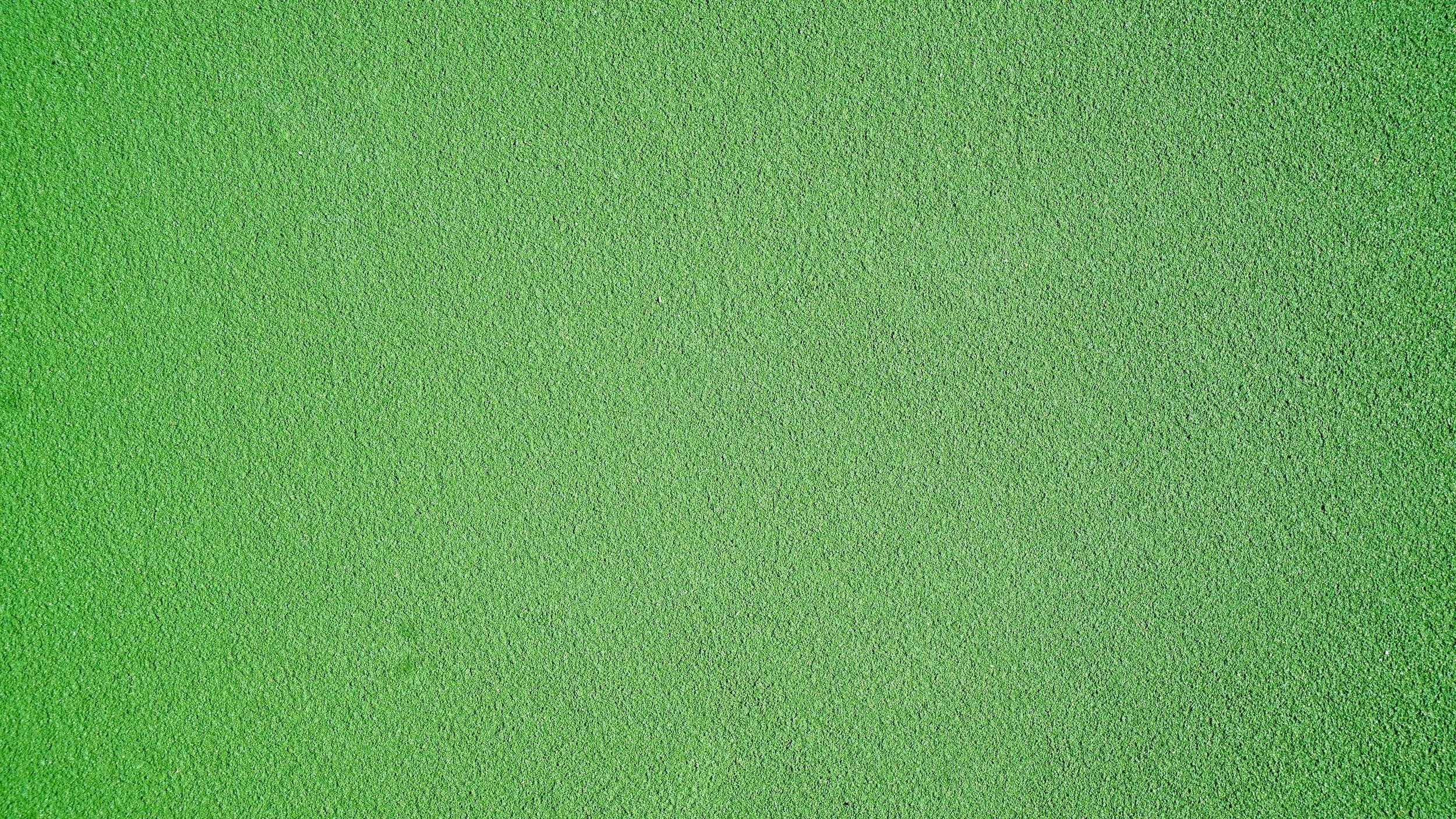 unsplash-image-eB1ziPSixlQ.jpg
