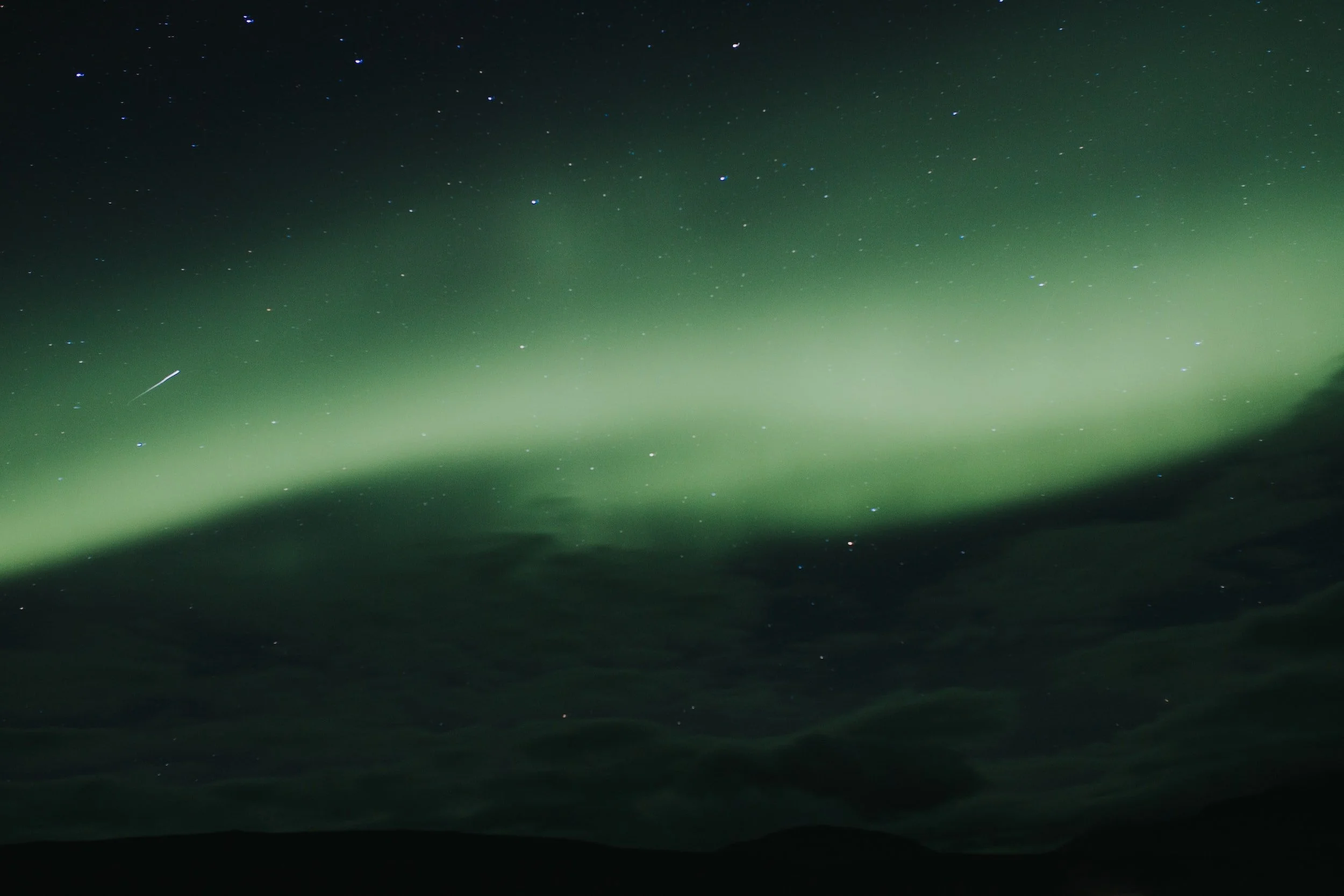 unsplash-image-SxNX66JAFHI.jpg