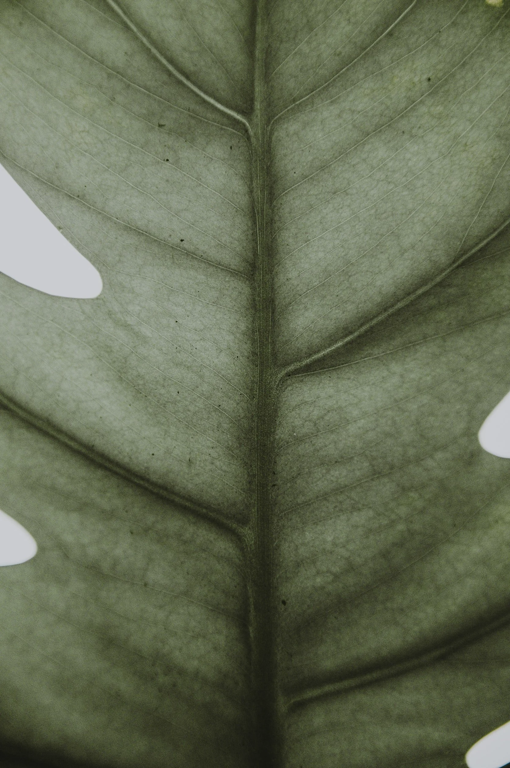 unsplash-image-GMSqa8vdx84.jpg