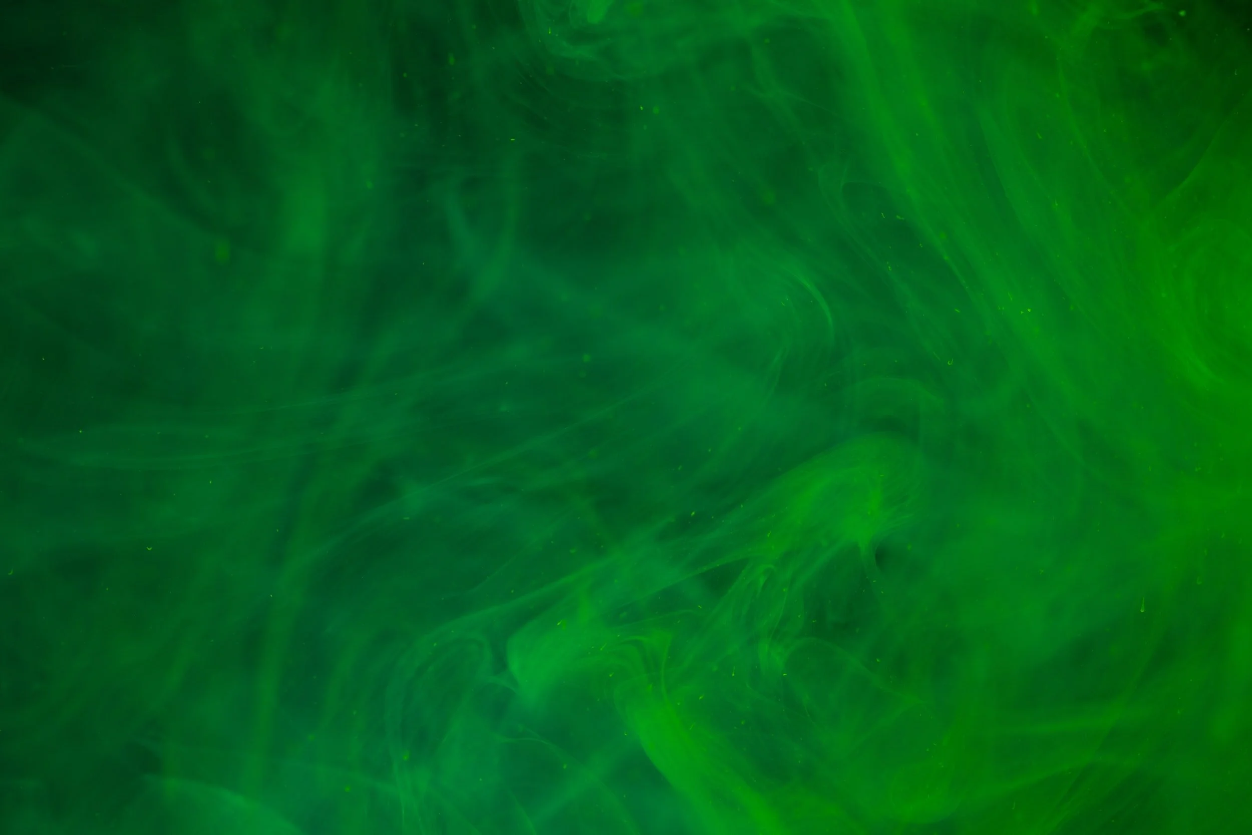 unsplash-image-e2XS7txnZps.jpg