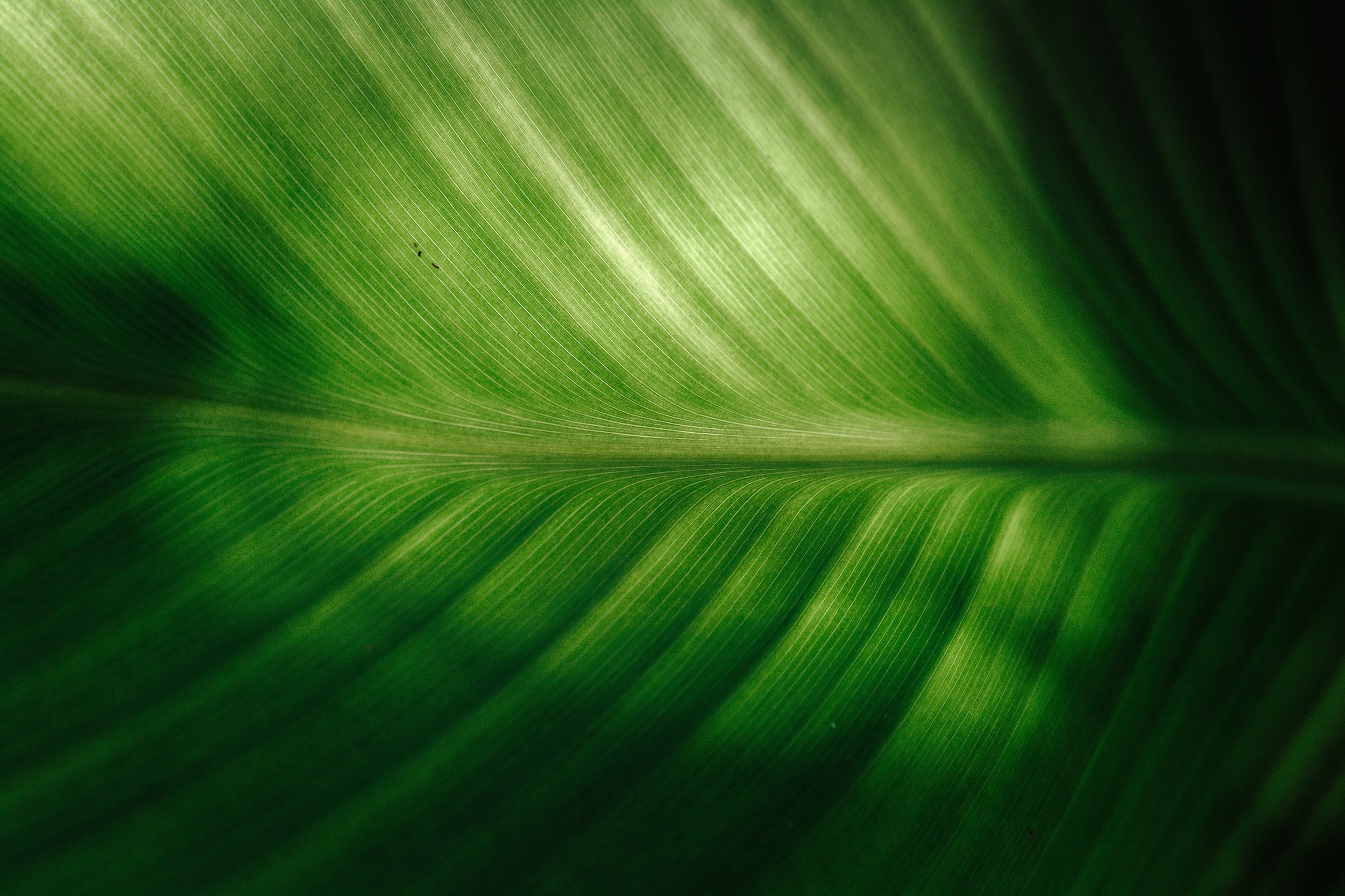 unsplash-image-z7CyPm9uKmA.jpg