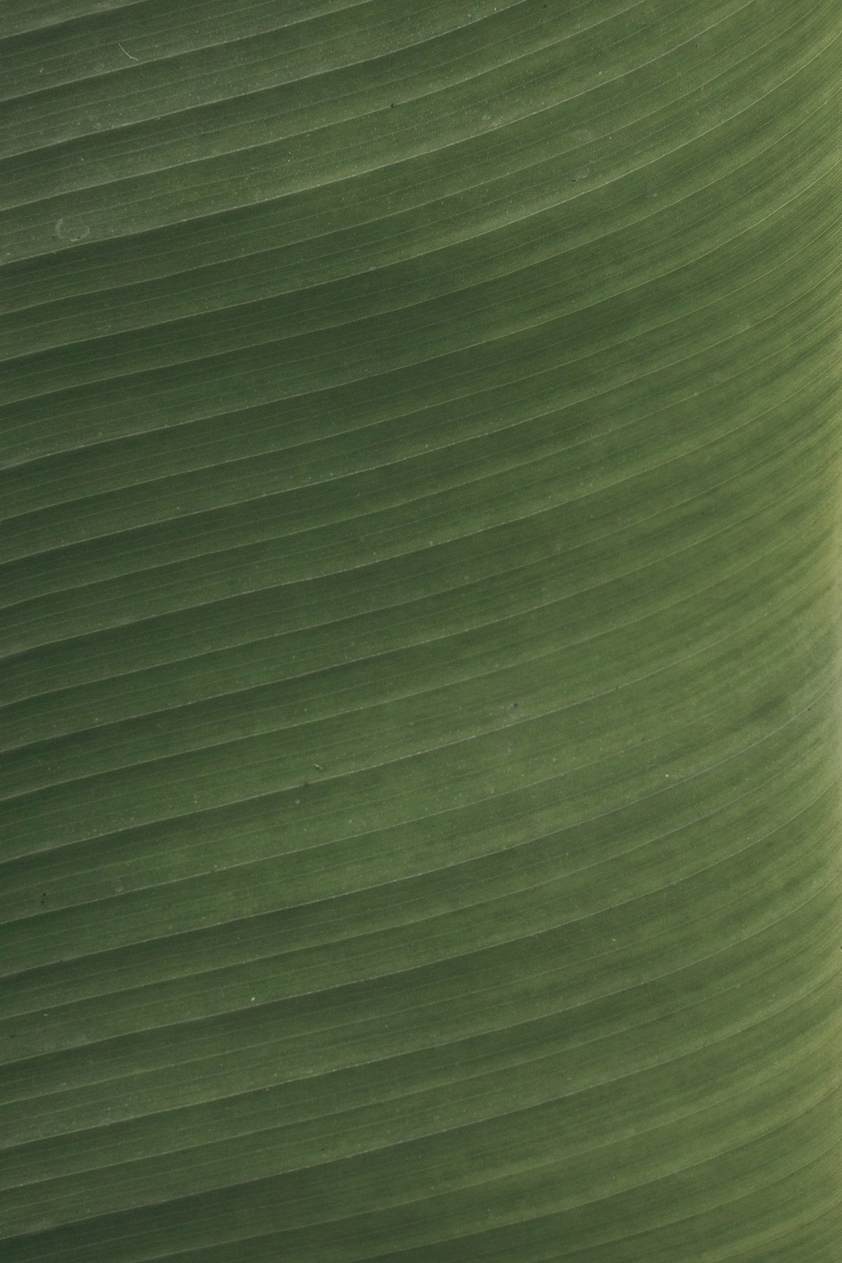 unsplash-image-s9vNTRLoWl8.jpg