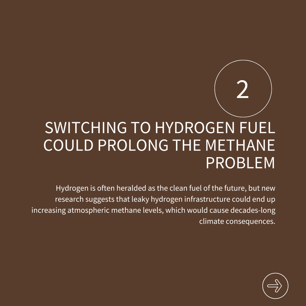 Five Sustainability Research — THE GREEN INSTITUTE