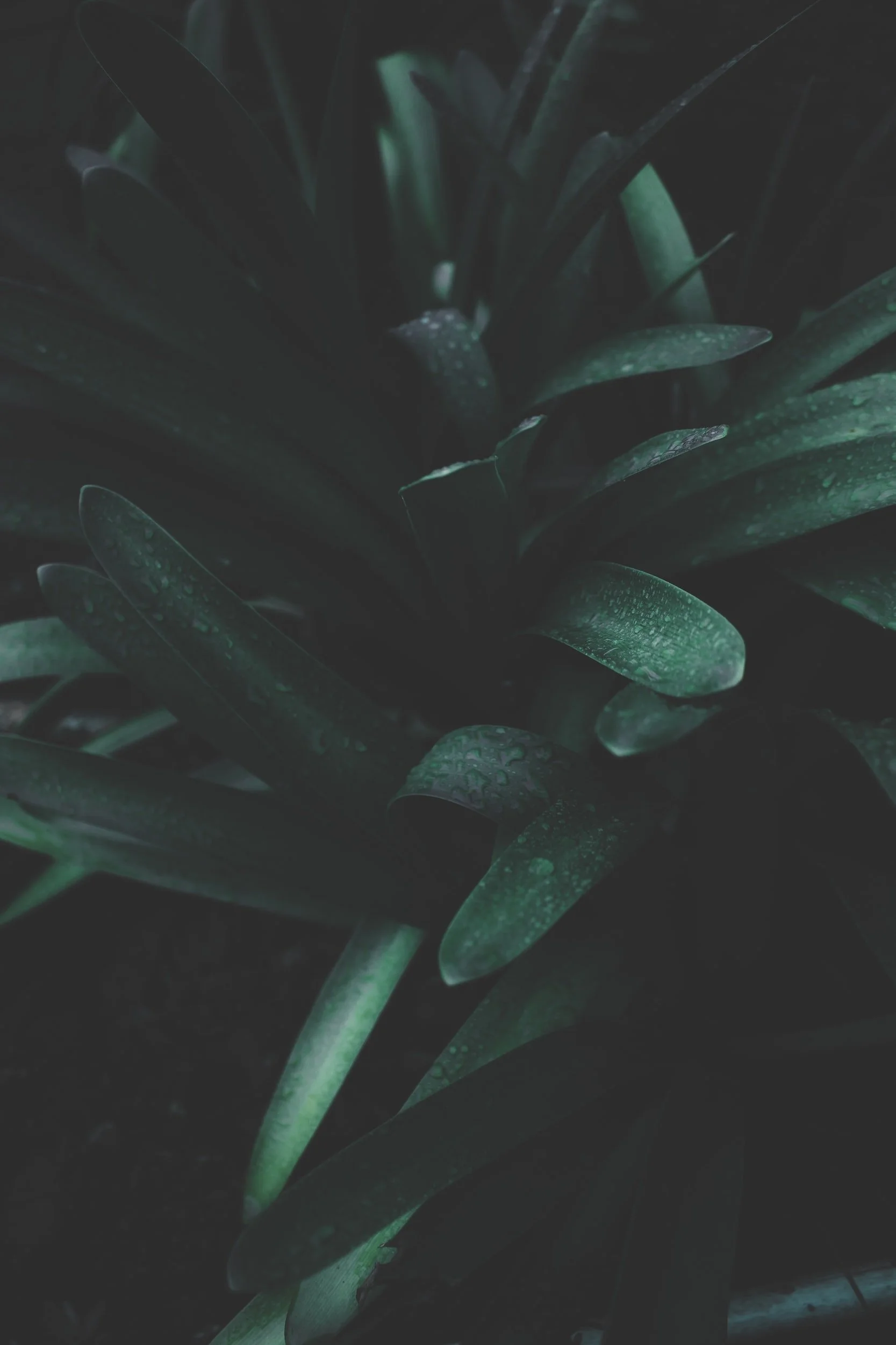 unsplash-image-Ws92xzbSris.jpg