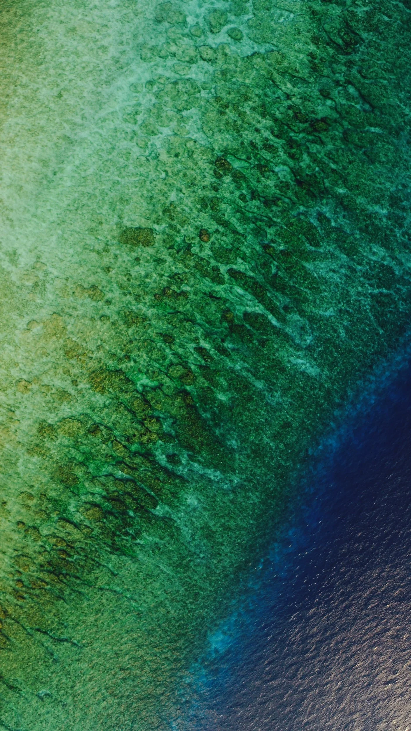 unsplash-image--EvyJMARpvY.jpg