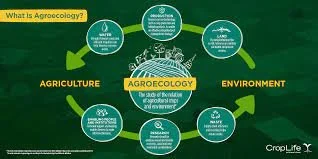 Agroecology