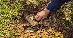 Biodegradable