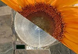 Biomimicry 