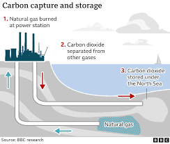 Carbon capture and storage (CCS)
